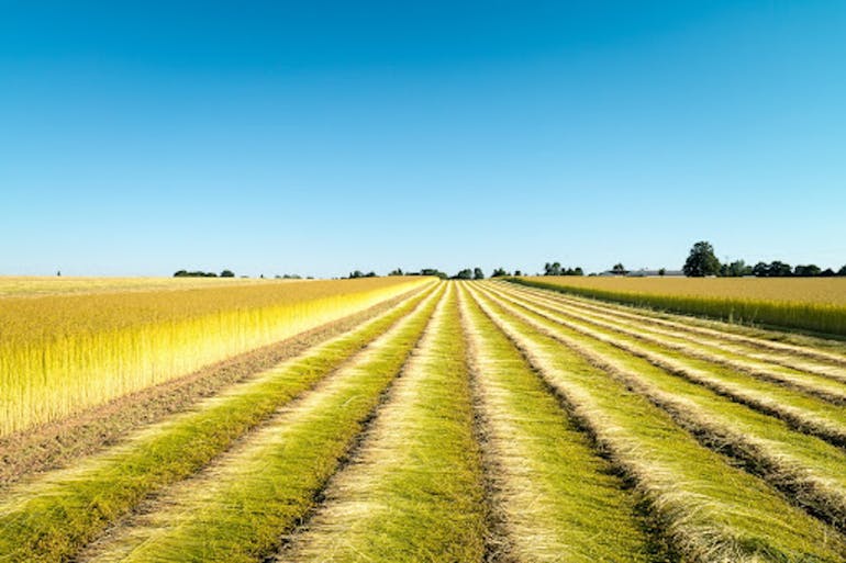 lemaitre demeestere lin français