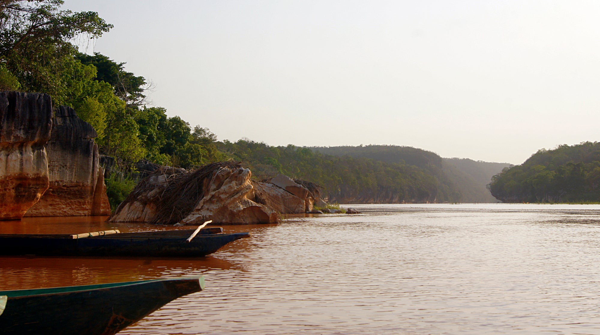 raphia madagascar