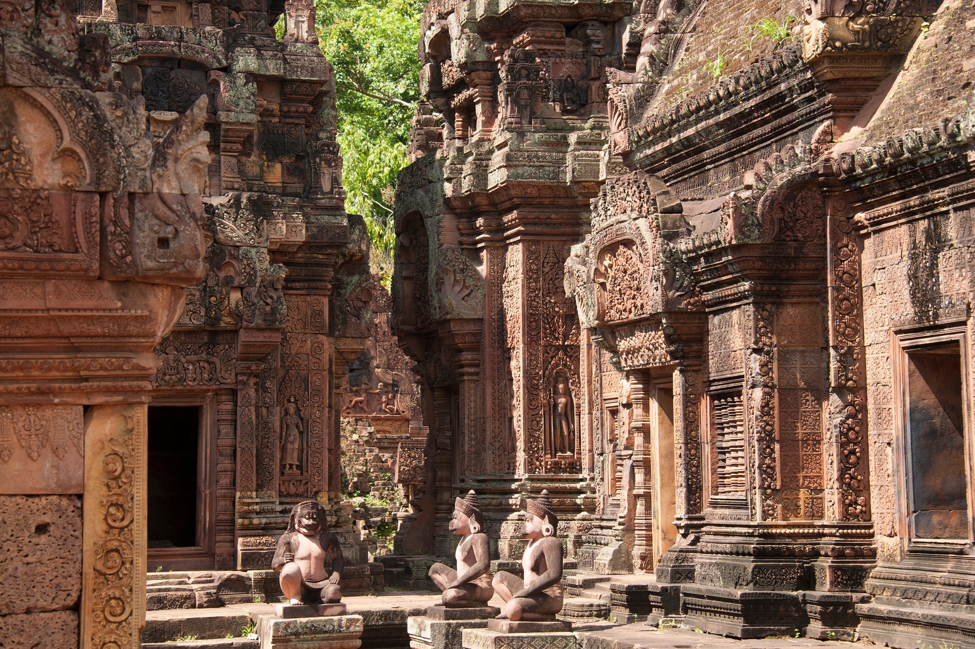 cambodge paysage 