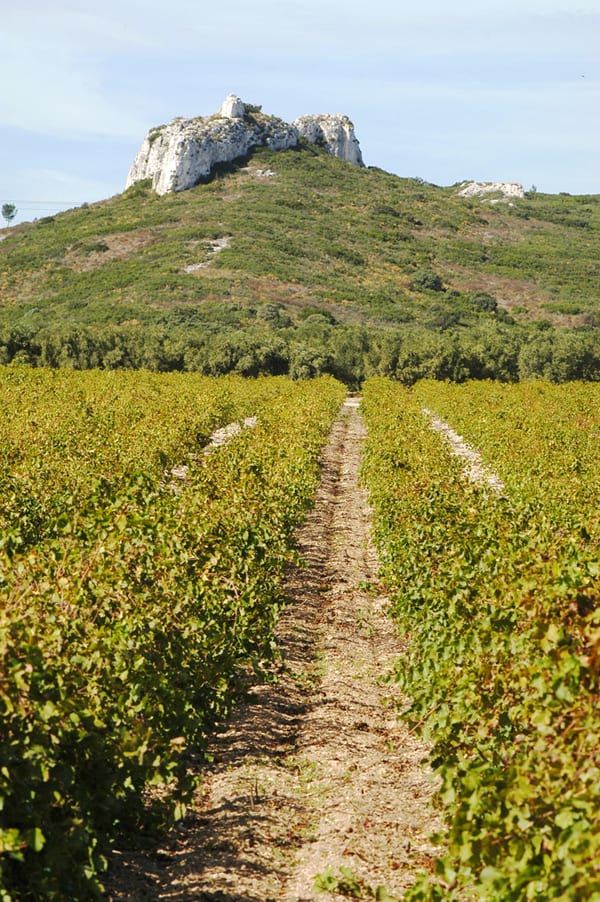 provence savoir faire huile d'olive vin